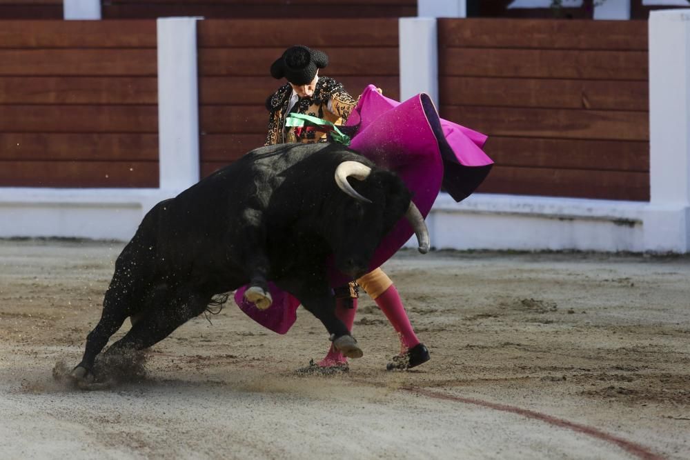 Novillada en la Feria de Begoña