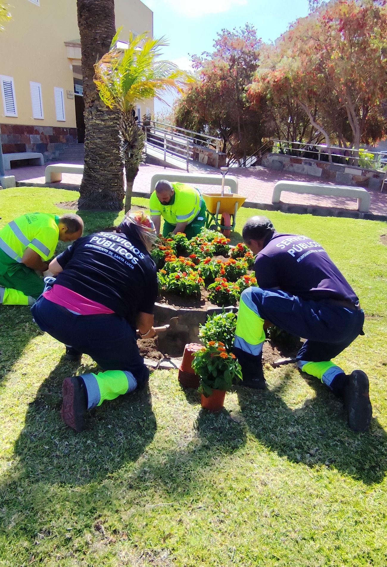 Vecindario tiene el mayor pulmón verde del Sureste