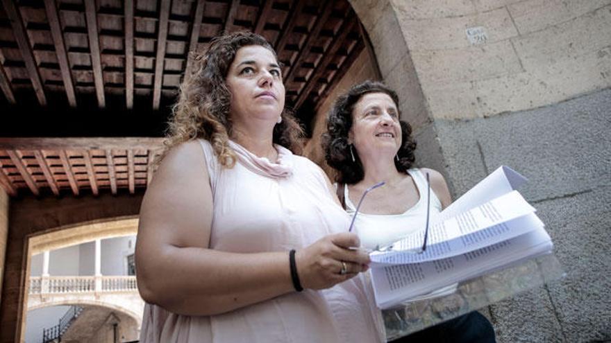 Las diputadas Pilar Costa (PSOE) y Fina Santiago (Més), ante el Tribunal Superior.