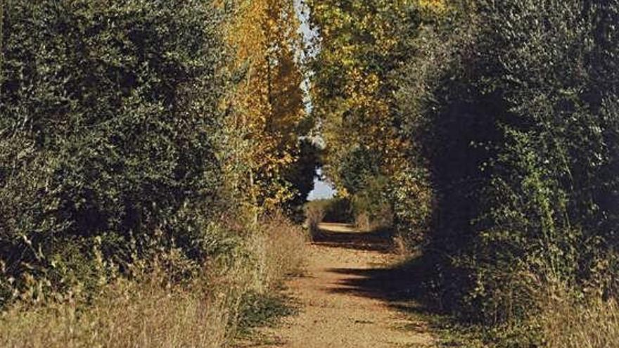 Camino natural Vía de la Plata.
