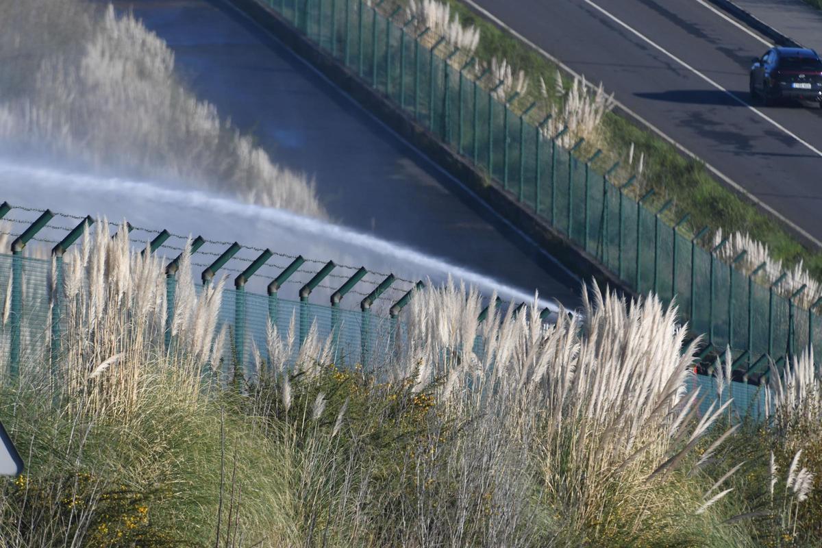 Dispositivo de caza del jabalí en el aeropuerto de Alvedro