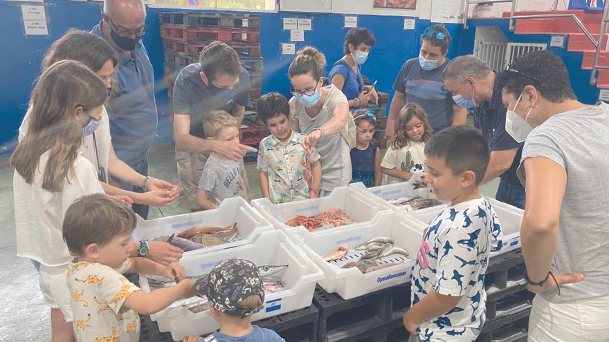 OpMallorcaMar colabora  con Mallorca al plat y Apaema