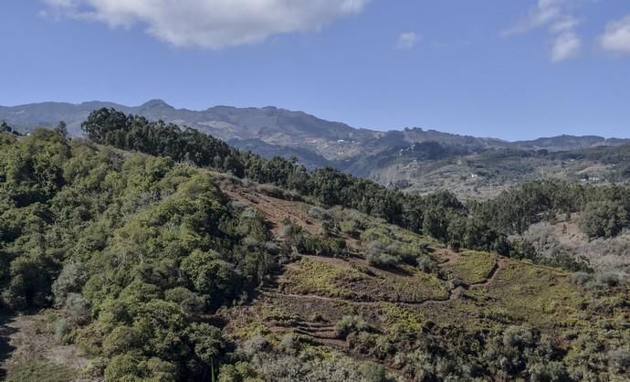 09/10/2017 FIRGAS. el Coronel Jefe del Regimiento de InfanterÍa del Ejército de Tierra, Marcelo de Carlos Huarte, y el consejero de Medio Ambiente, Miguel Ángel Rodríguez, presentaron la plantación que llevan a cabo el Ejército y el Cabildo en el Parque Rural de Doramas, en unos terrenos del Marquesado de Arucas. Se trata de una colaboración enmarcada en la restauración del ecosistema del monteverde que promueve el Proyecto LIFE+ Rabiche. FOTO: J. PÉREZ CURBELO