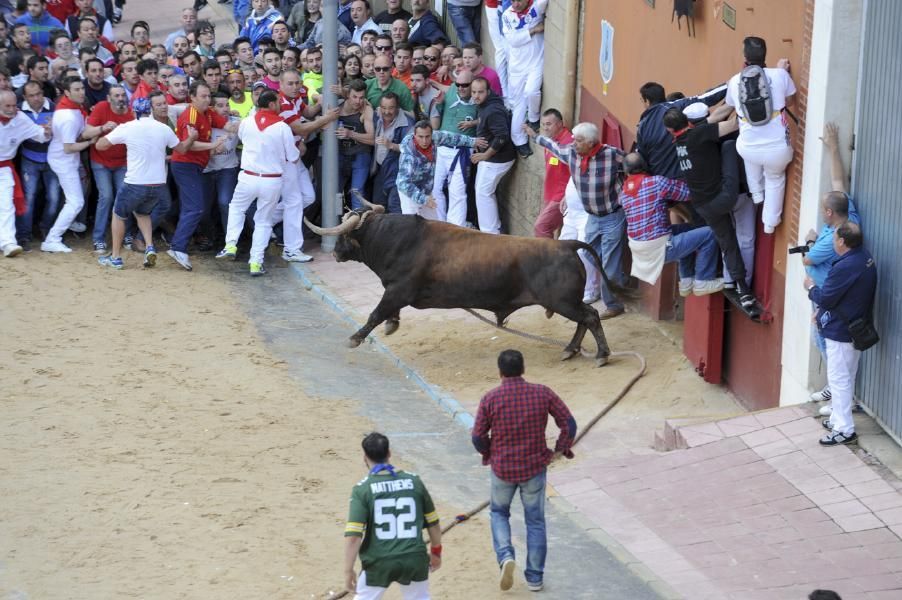 Enmaromado 2016: Lechugazo da la talla