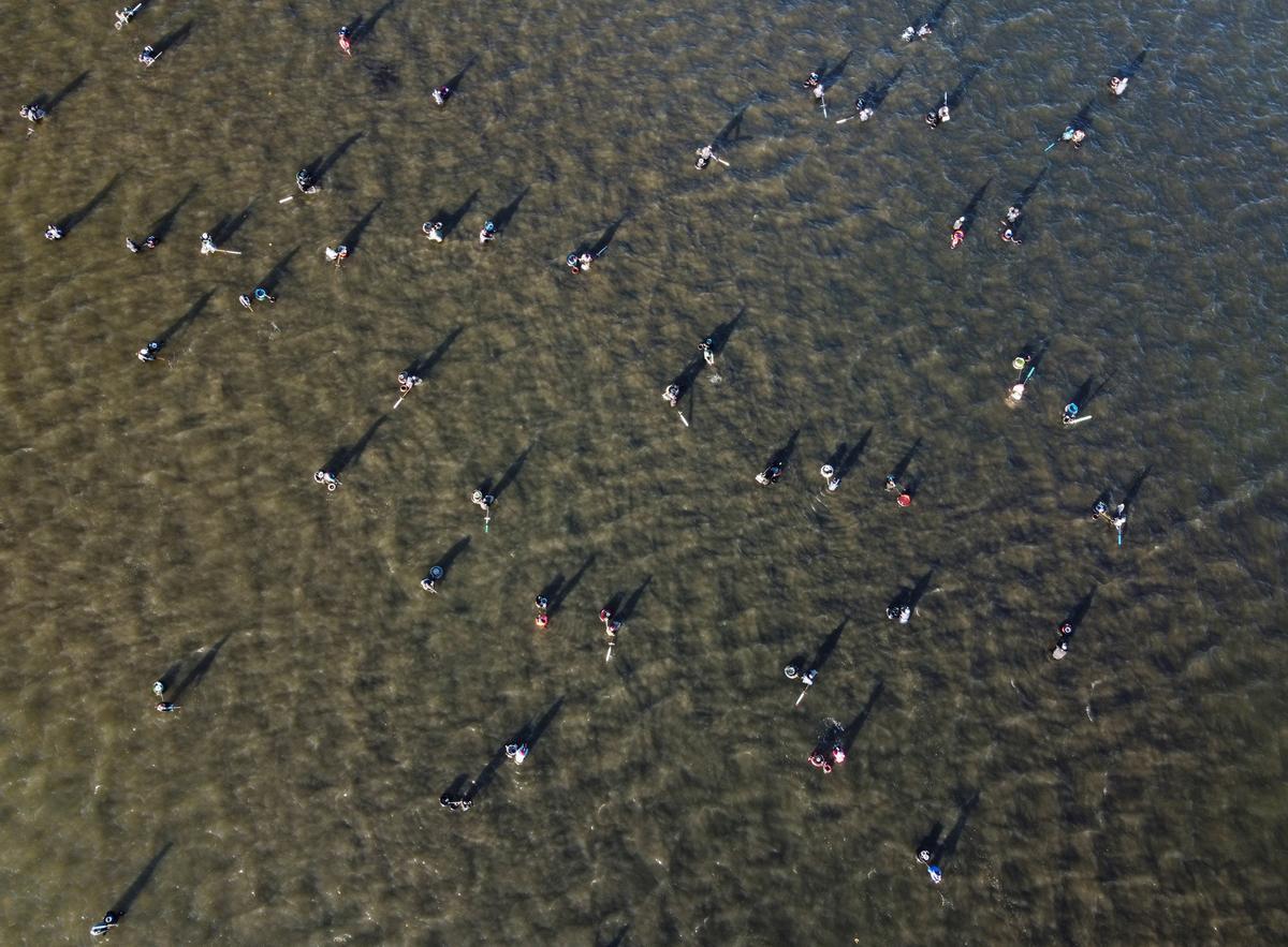 Vista aérea desde un dron de las trabajadoras.