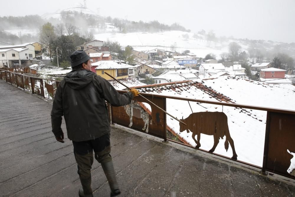 La nieve regresa a Asturias en plena cuarentena