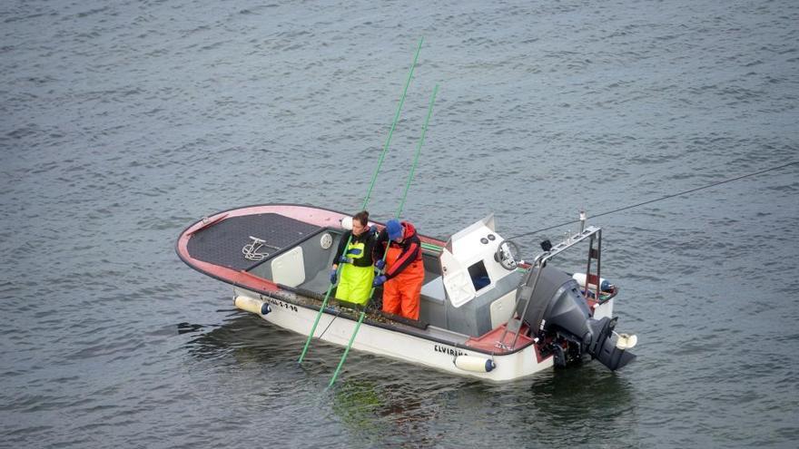 Libre marisqueo bajo el puente de A Illa