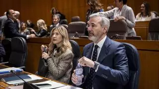 El Gobierno de Aragón defiende los pigas frente a las alegaciones de Villamayor de Gállego: "Son útiles, de éxito y eficaces"