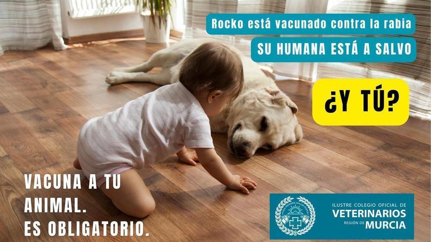 Vacunar frente a la rabia: una obligación que protege a toda la familia