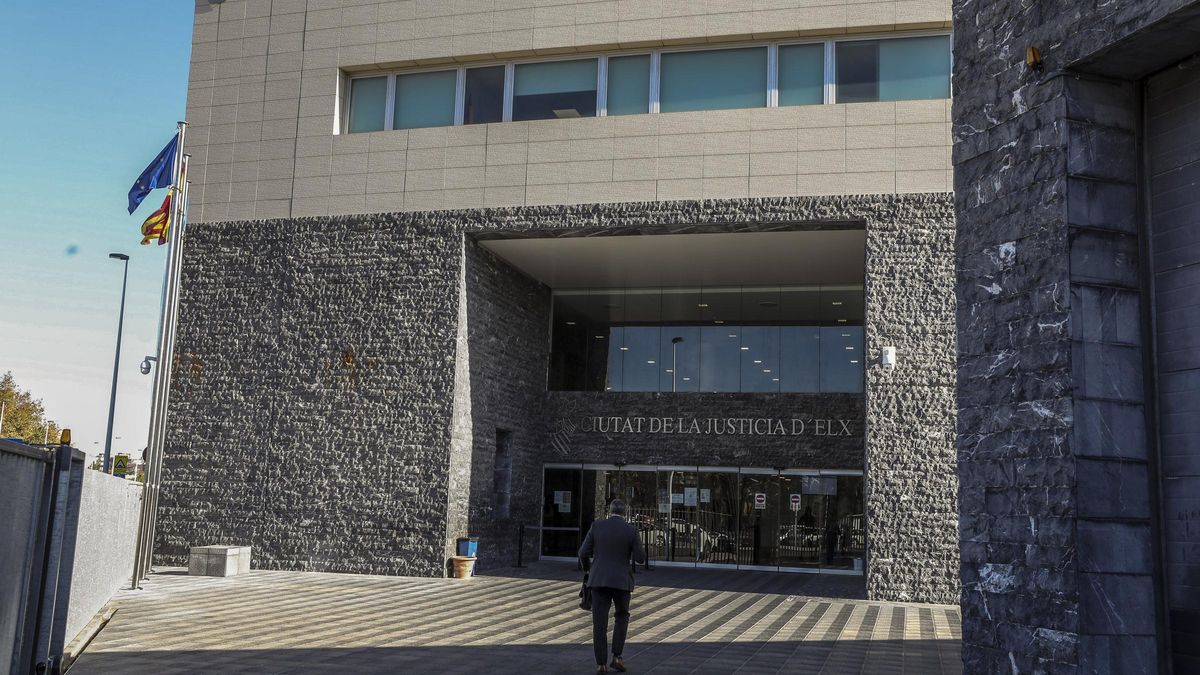 El asunto se instruyó en el juzgado de Violencia de Elche