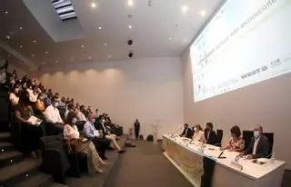 Diputación y UA presentan el proyecto del Corredor Verde del Río Monnegre que unirá la presa de Tibi con El Campello