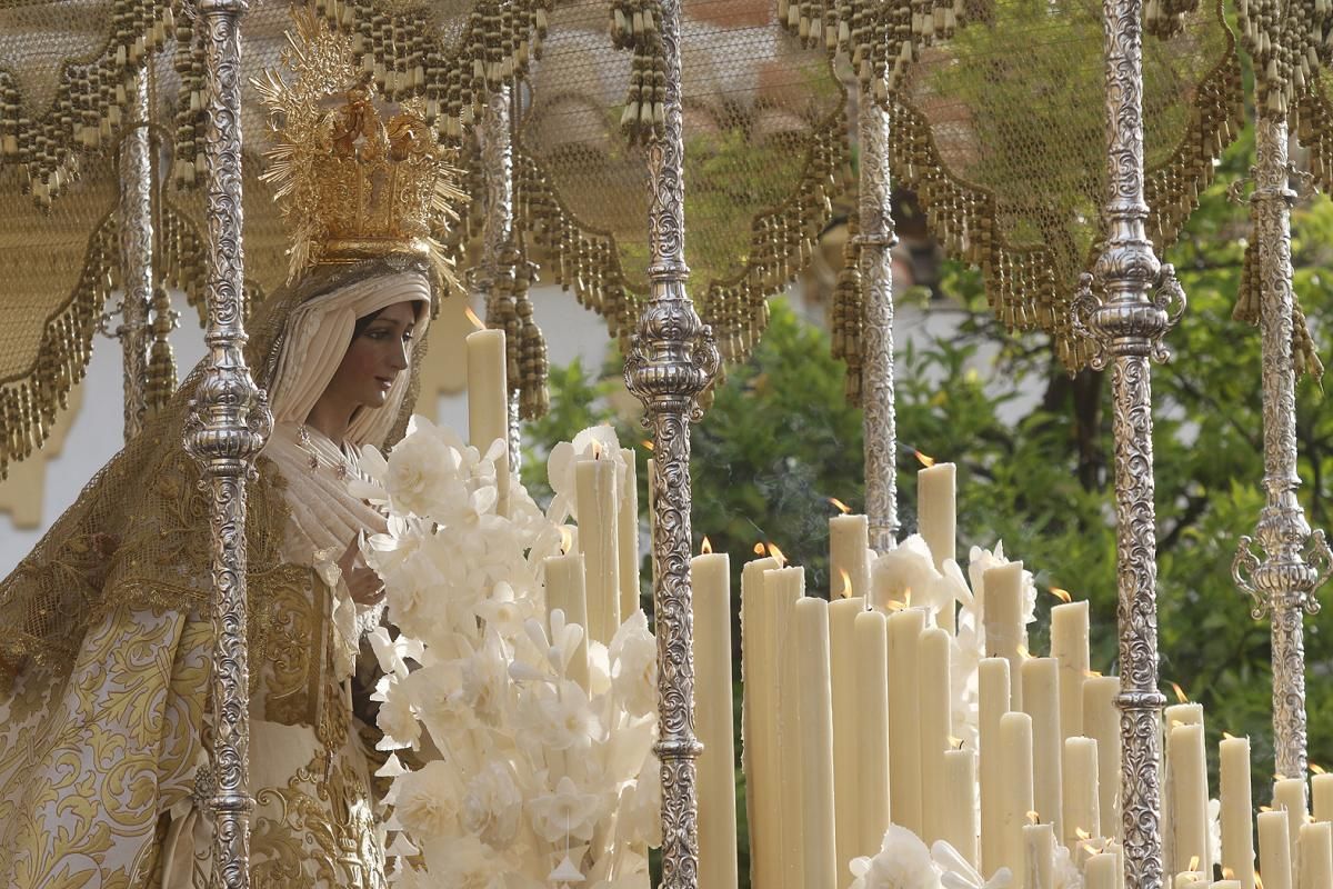 FOTOGALERÍA / Hermandad del Resucitado