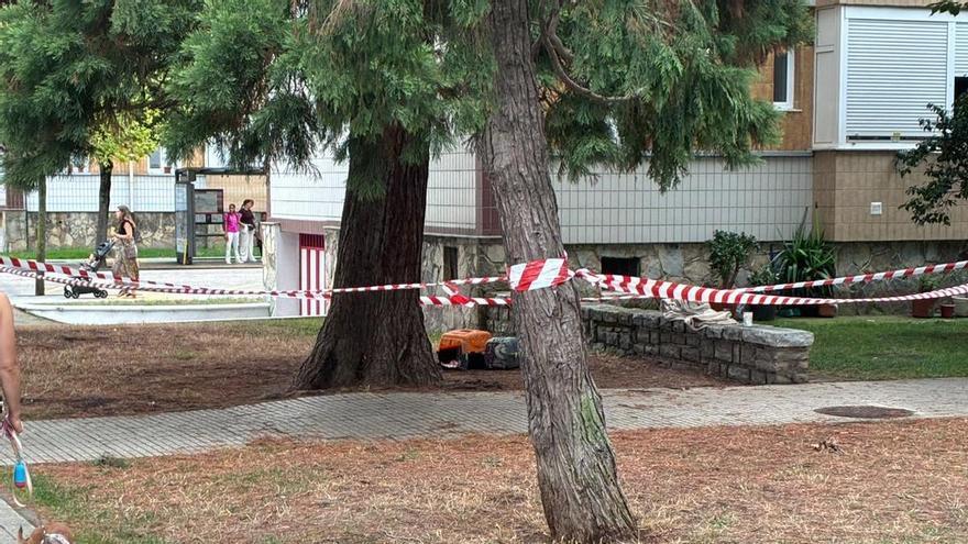 El barrio gijonés de Pumarín sigue pendiente del gato atrapado en un árbol: "Le hemos puesto su transportín y comida debajo, a ver si baja por sus propios medios"