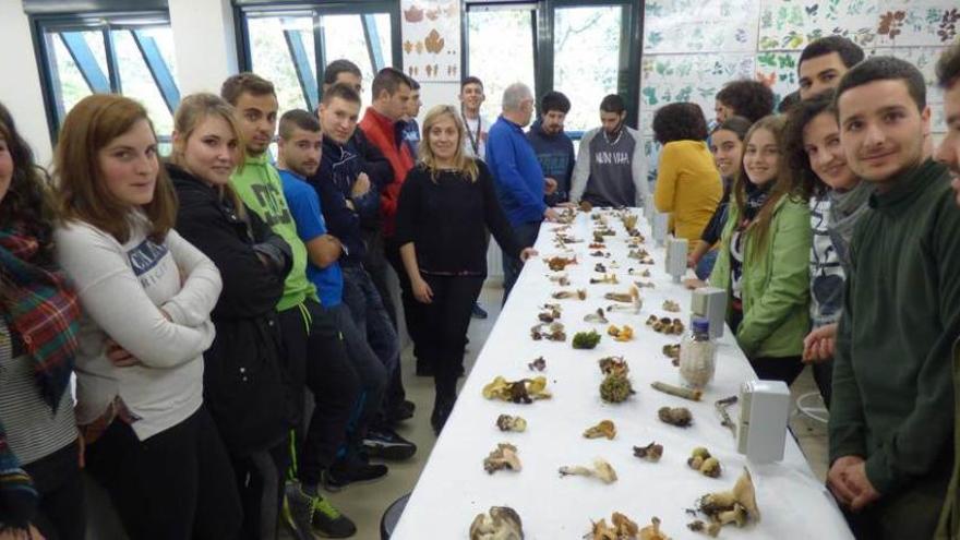 Alumnos de la Escuela de Selvicultura, ayer, analizando setas.