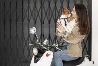 Atención moteros: estas son las normas si llevas a tu perro en la moto