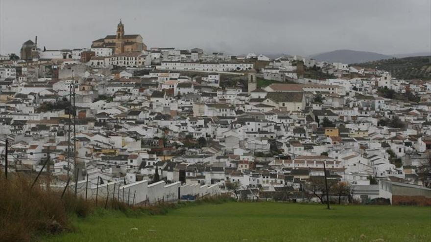 Autorizan la limpieza en la zona verde de la ladera