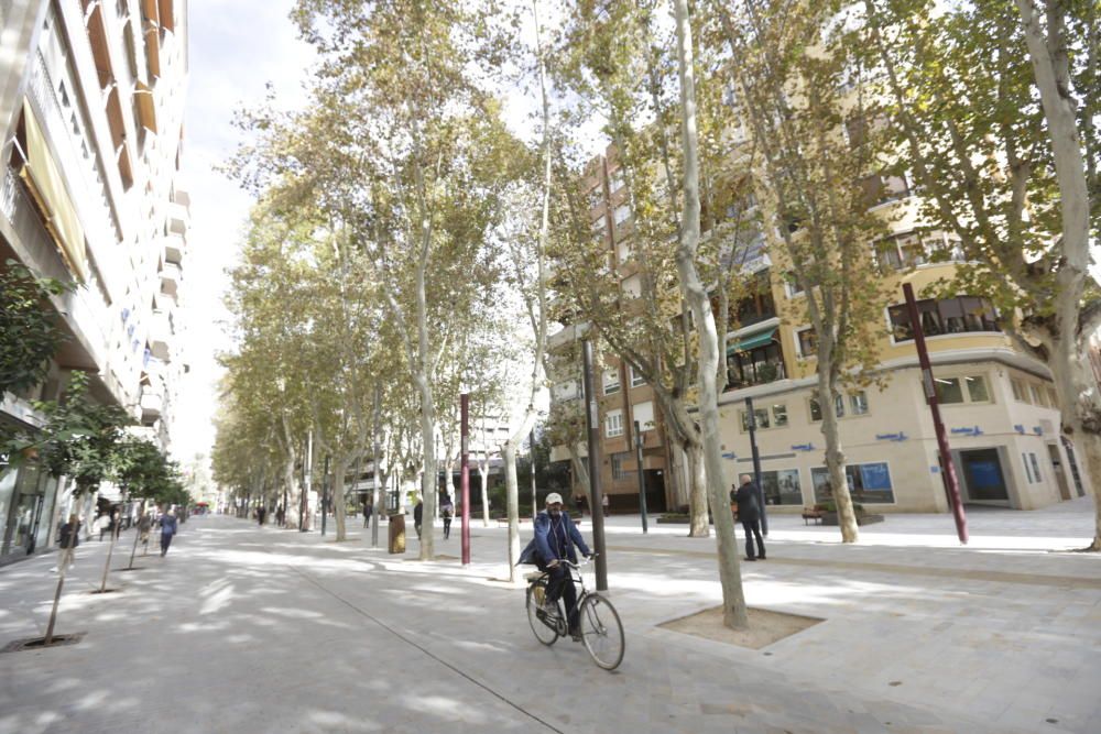 El paseo Alfonso X de Murcia, completamente peatonalizado