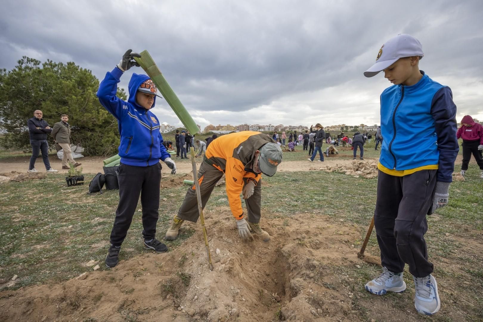 Jornada escolar plantación de especies autóctonas junto al parque natural de las lagunas de Torrevieja y La Mata