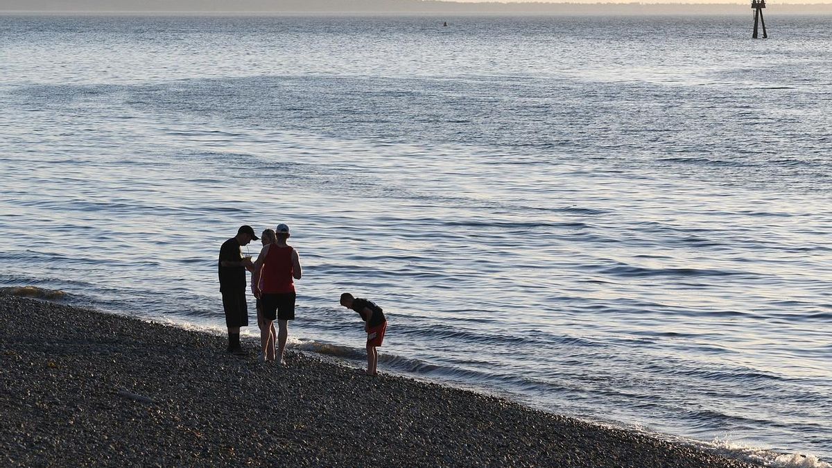 Varias personas en una playa durante el verano