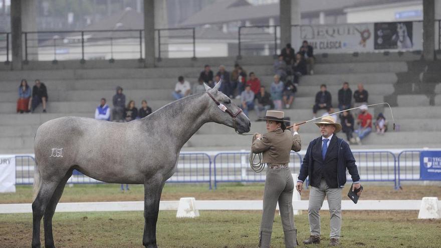 Semana Verde vuelve a licitar la mejora de las instalaciones hípicas