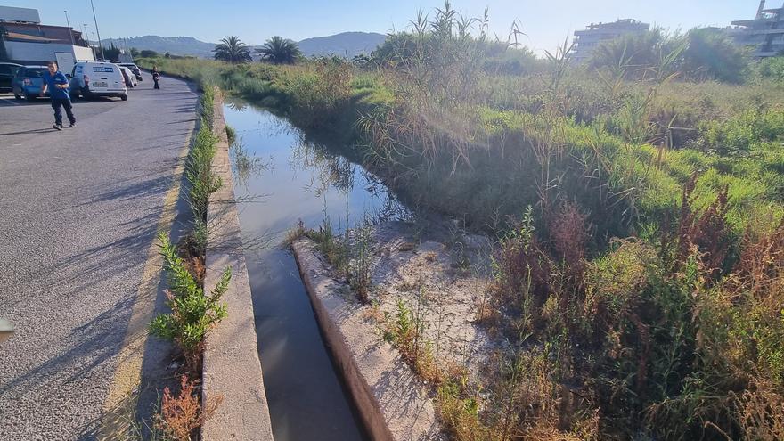 Nuevo vertido de aguas fecales de la depuradora de Ibiza en el torrente de sa Llavanera