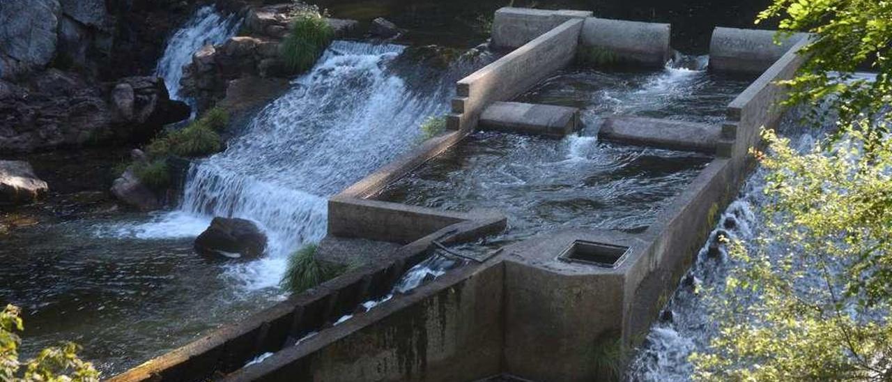 Estado actual de la presa de Monte Porreiro, todavía sin mostrar signos de escasez de agua. // Rafa Vázquez