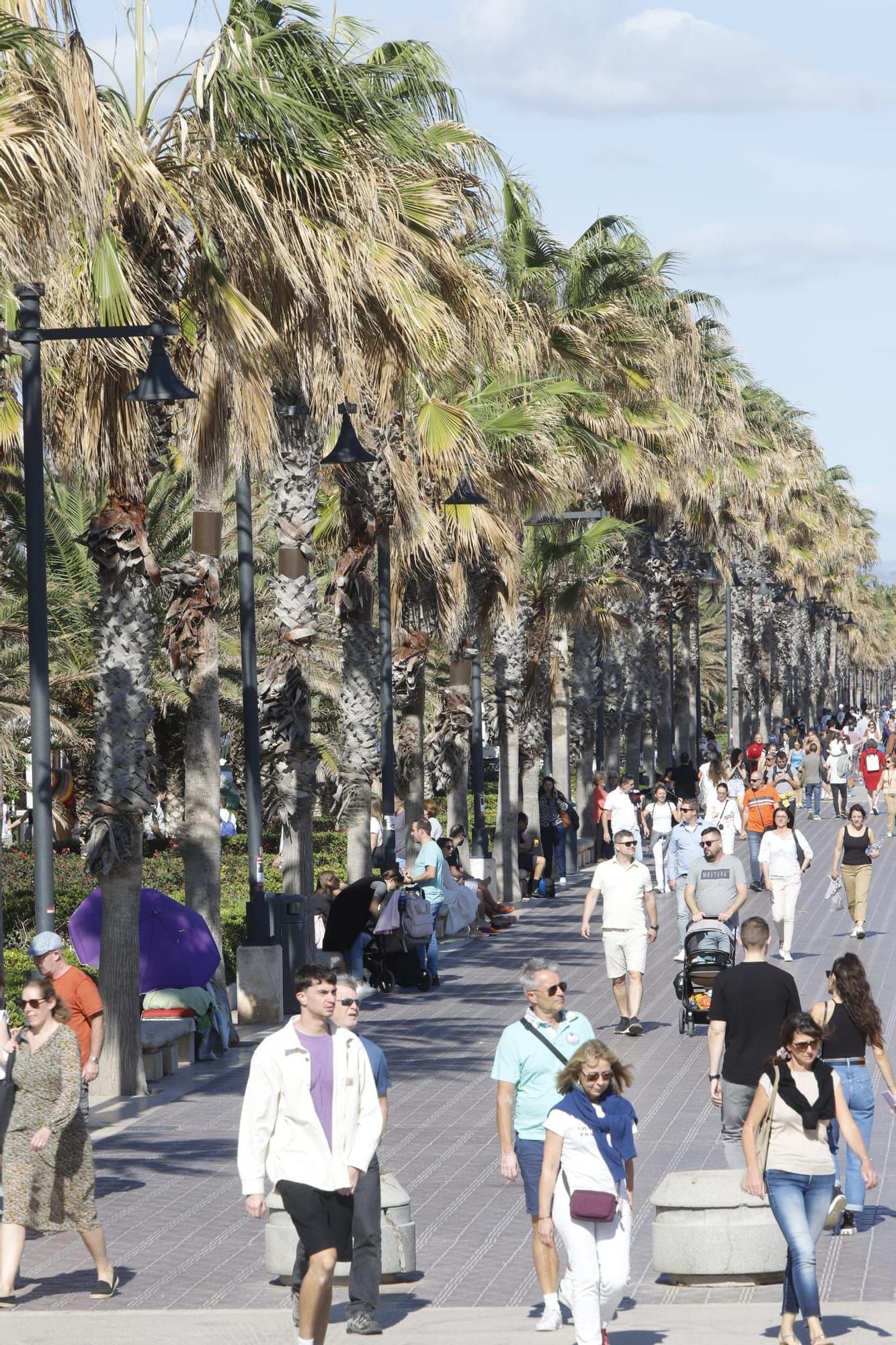 Los valencianos llenan playas y parques con las temperaturas estivales a las puertas de noviembre