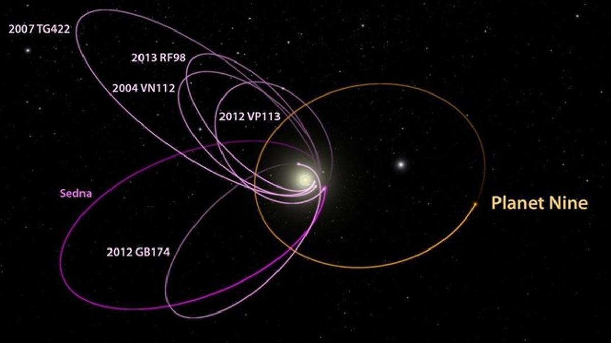 Orbita estimada del supuesto planeta nueve o noveno planeta del sistema solar, junto a la de otros objetos del cinturon de Kuiper.