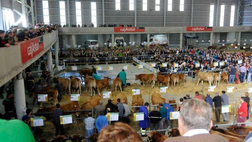 El recinto ferial de Santullano, durante la subasta.