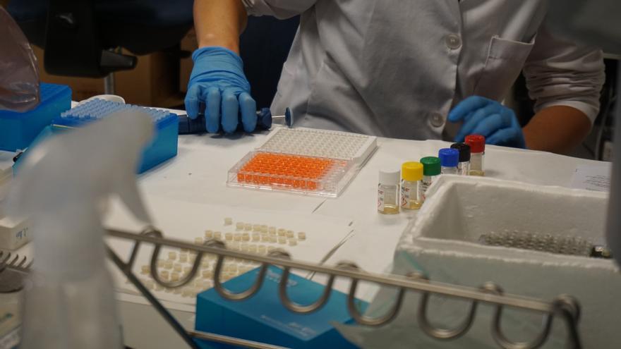El Hospital Regional de Málaga e Ibima se incorporan a un ensayo clínico europeo sobre una innovadora terapia celular para el pie diabético