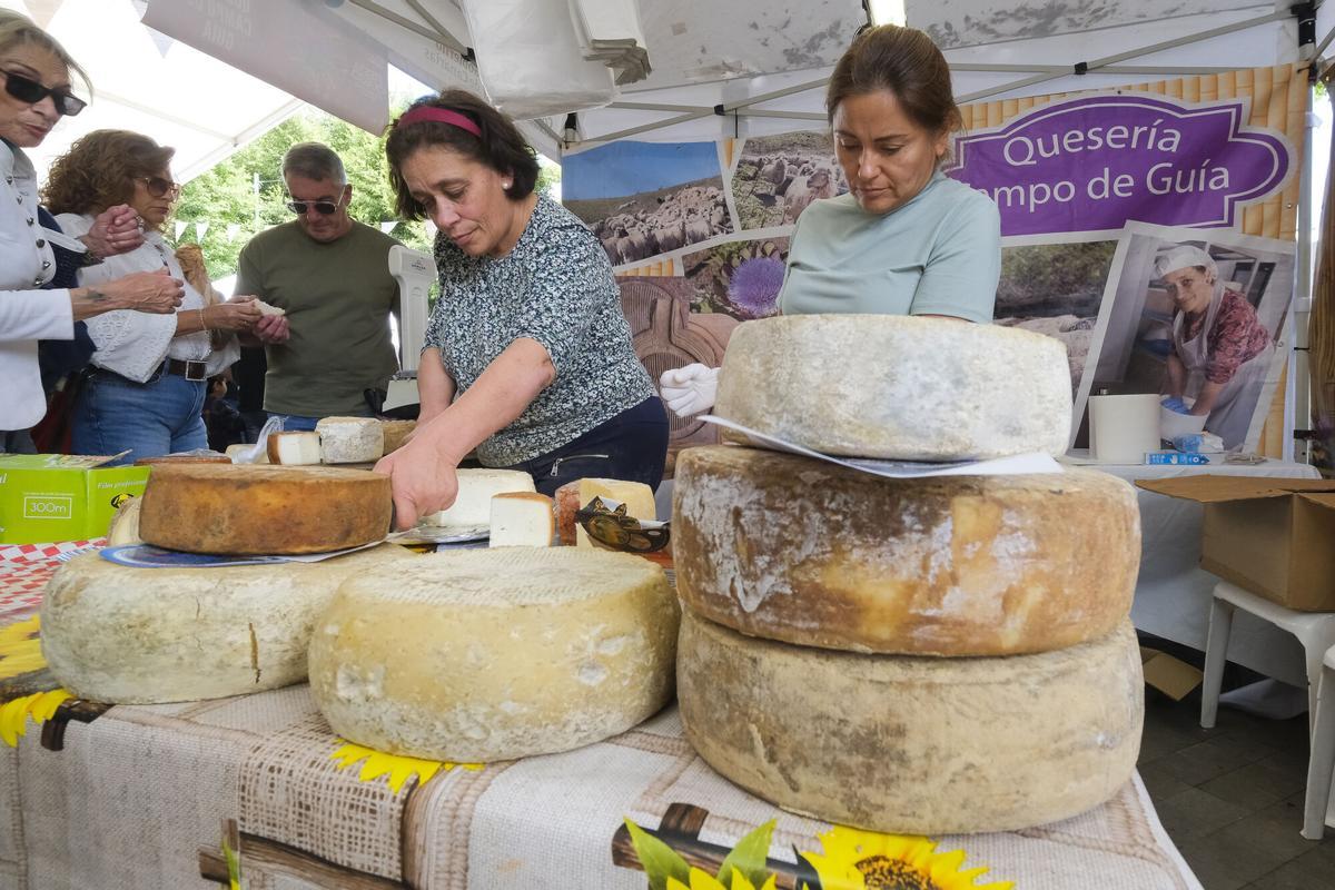 Fiesta del Queso en Guía 2026