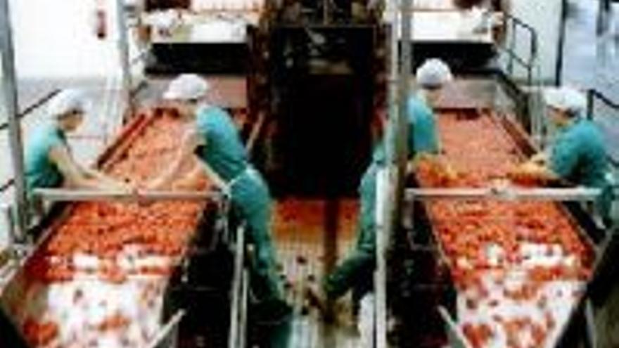 Unexca prevé una &quot;drástica&quot; bajada de la cosecha de tomate del 2006