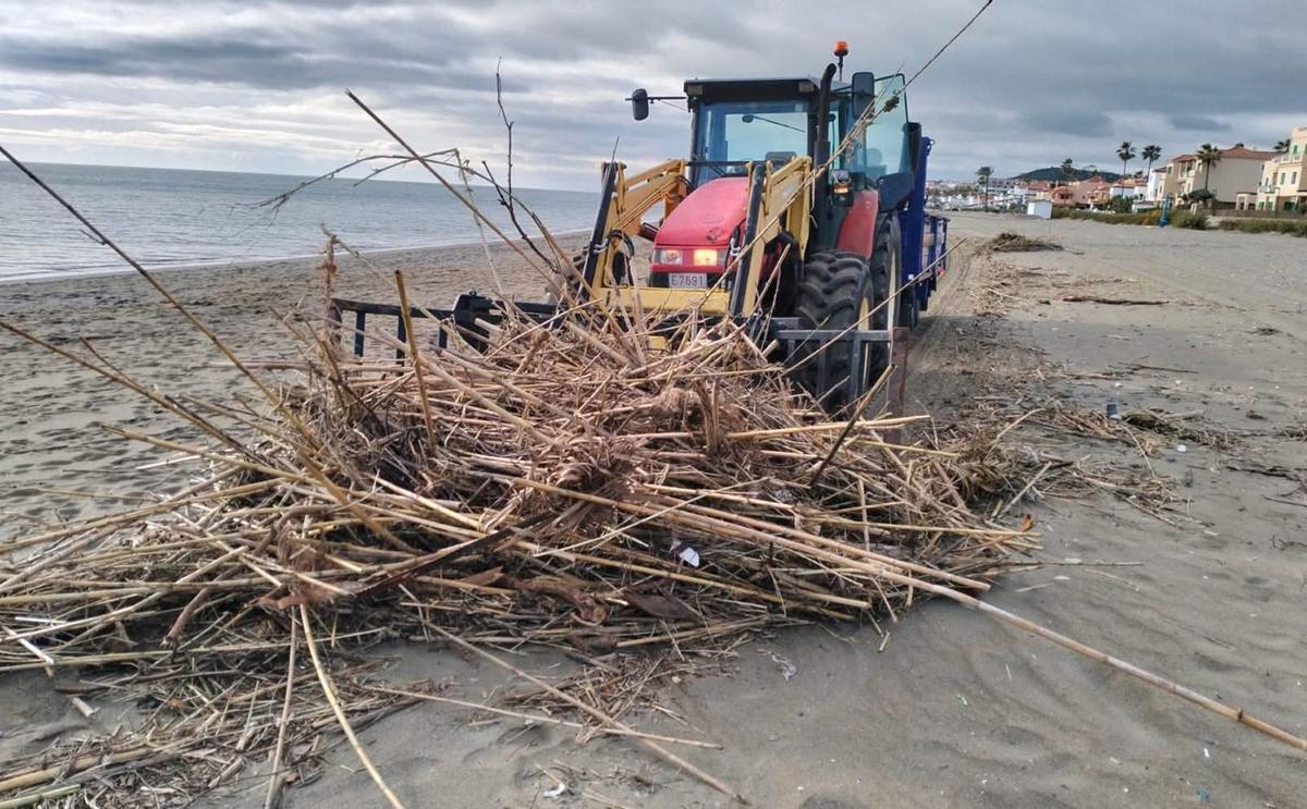 El Ayuntamiento de Casares ultimaba este viernes los trabajos de reacondicionamiento y limpieza de uno de sus tramos de playa