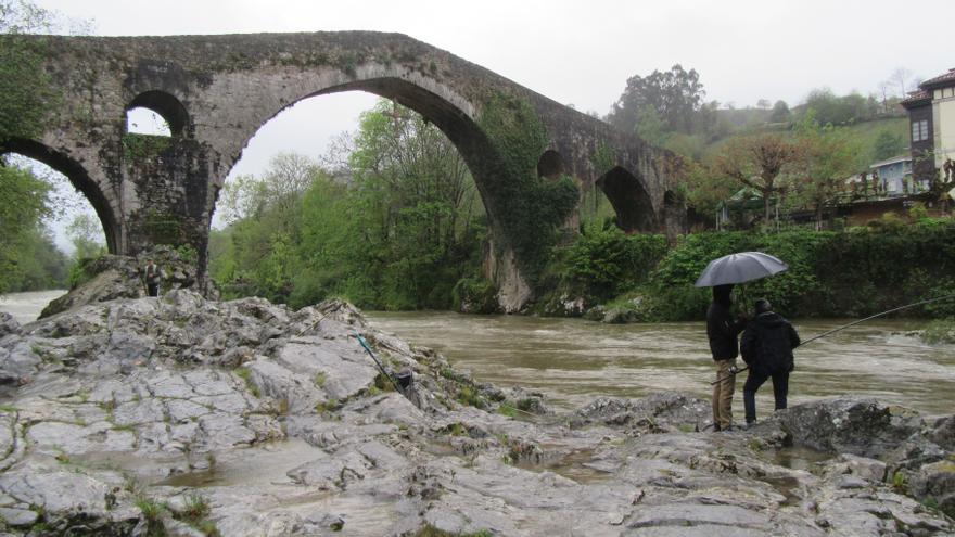 Madrugón a pie de río para sacar el campanu de Asturias
