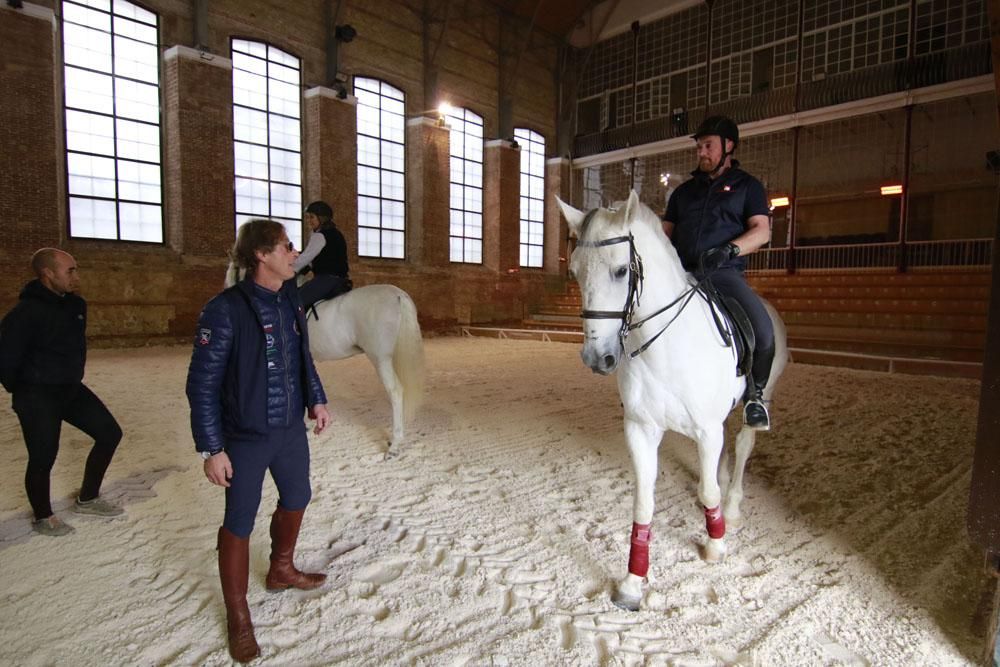 Córdoba escuela de equitación europea