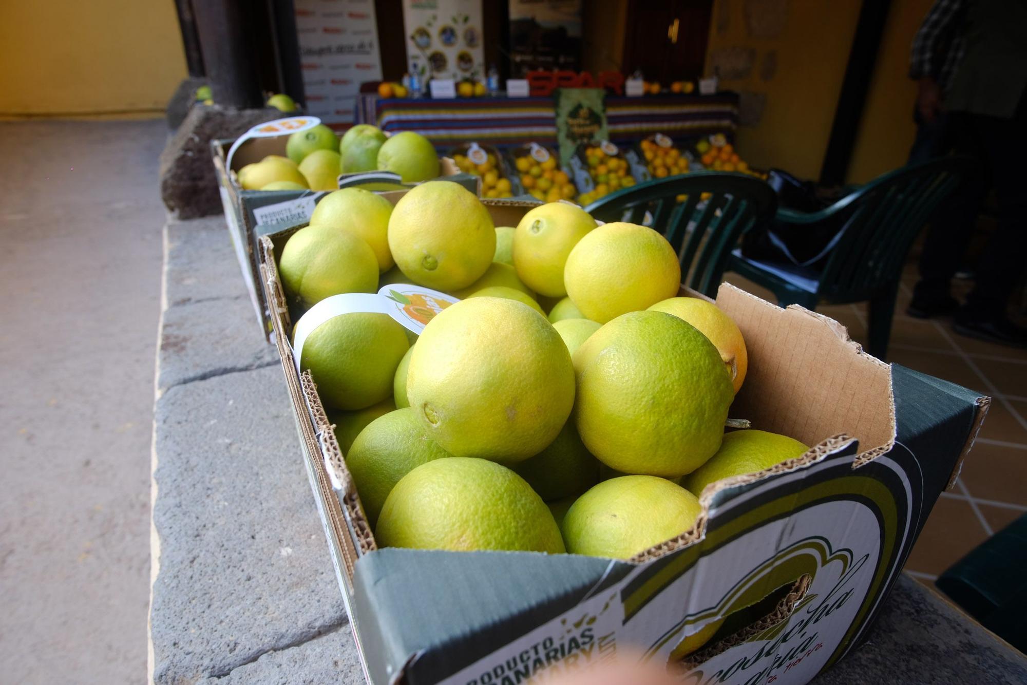 Spar venderá en sus tiendas de Gran Canaria naranjas del municipio de Telde