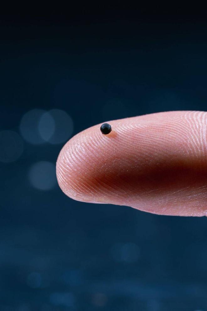 Revolució mèdica amb segell bagenc: creen microrobots per transportar medicaments a punts concrets del cos