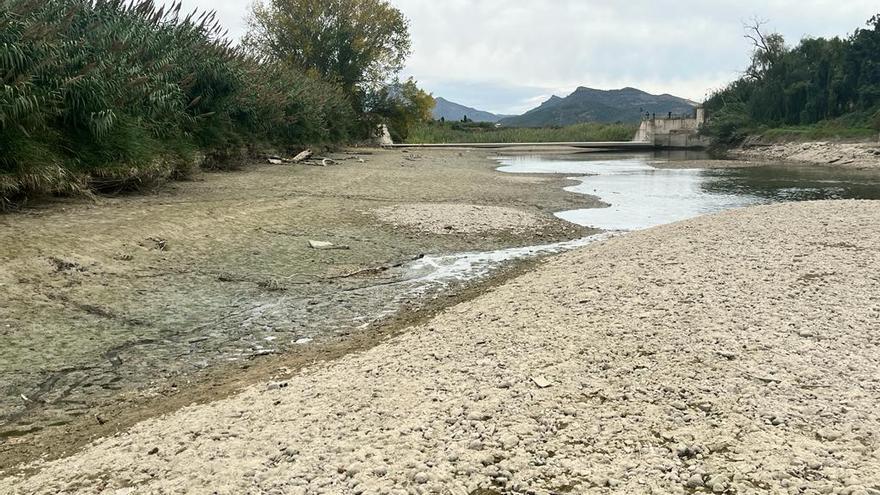 El lago que crea el Assut d’en Carròs, en Villalonga, casi seco en una imagen del viernes