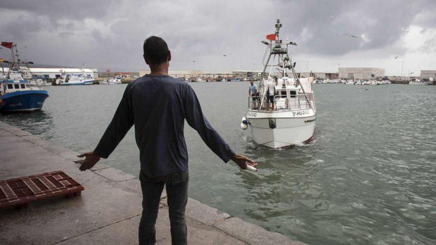 Un barco pesquero en el puerto de Barbate.