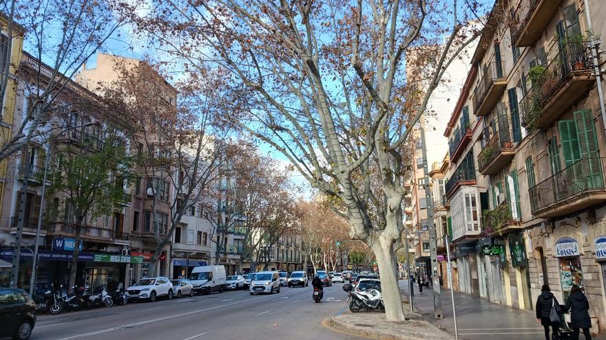 Juicio a una mujer por dos estafas con el alquiler de un piso inexistente en Palma