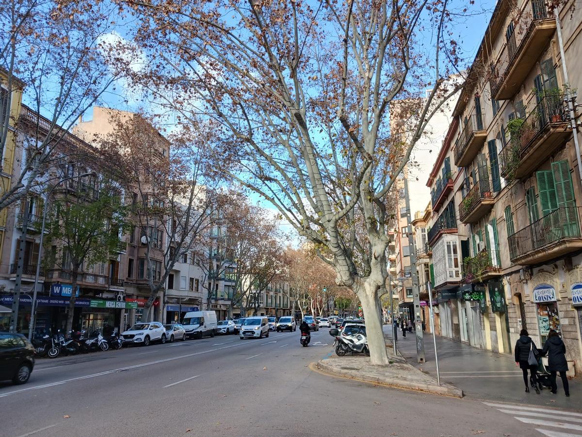 Calle 31 de diciembre en Palma, donde la acusada fingió ser propietaria de un piso.