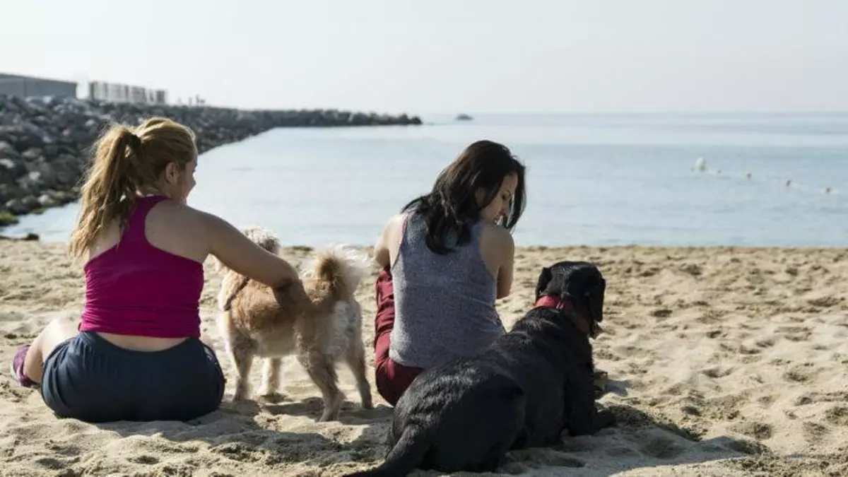 Ya es oficial: este es el temario que tendrán que aprobar los que quieran tener perro