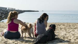 Dos personas practicando deporte, acompañadas de dos perros