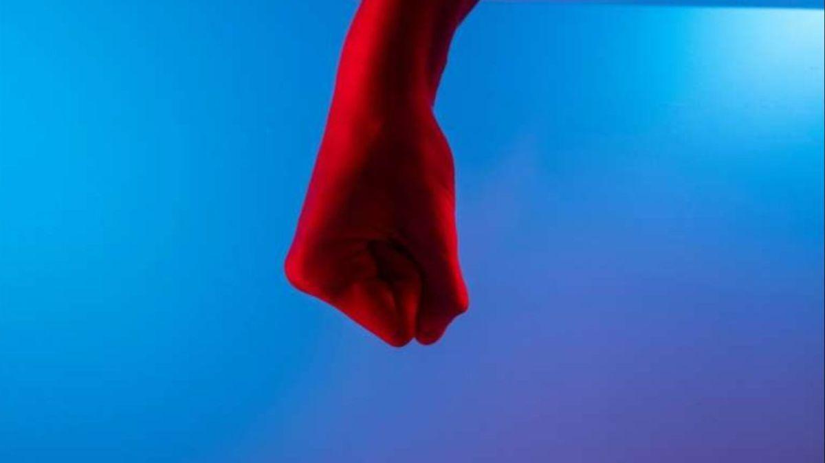 La evidencia en primates apunta a que la violencia extrema responde a trayectorias evolutivas distintas de la agresión cotidiana.