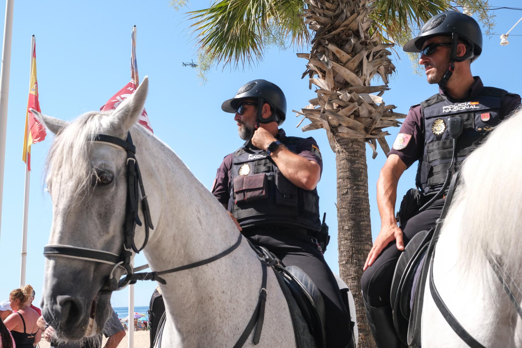 Así ha sido la exposición de medios de la Policía Nacional en Benidorm