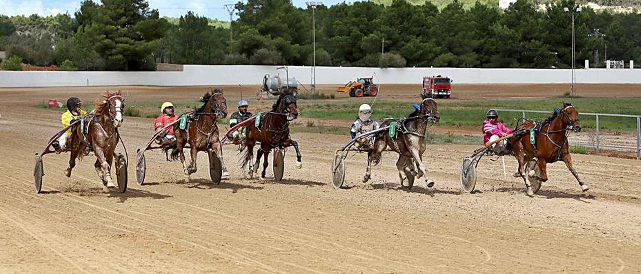 Cairos Hemes (izq.) vencedor el premi Associació del Trot. | JOAN COSTA GUASCH