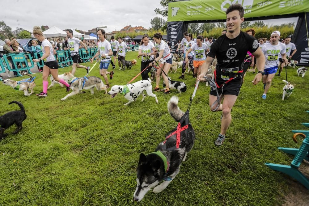 "Can We Run": Deporte, perros y solidaridad toman Gijón