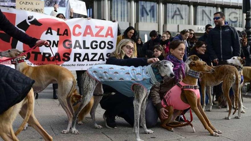 Protesta contra la caza con galgos y el maltrato animal, en A Coruña