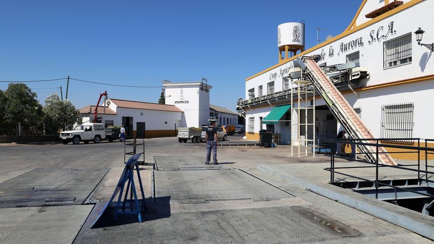 Un trabajador resulta herido tras sufrir un mareo y caer en un trujal durante la vendimia en Montilla