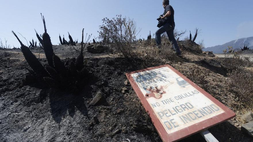 Imagen de Sierra Bermeja, arrasada por un incendio el pasado verano